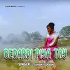 About Bedardi Piya Toy Song